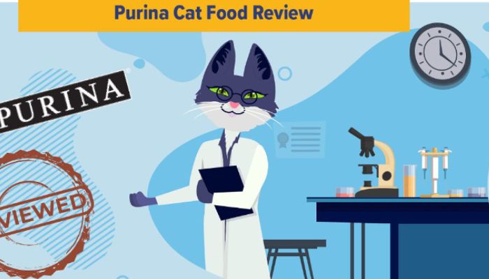 is purina good for cats