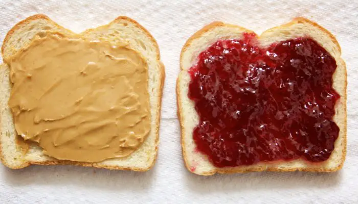 can a dog eat a peanut butter and jelly sandwich