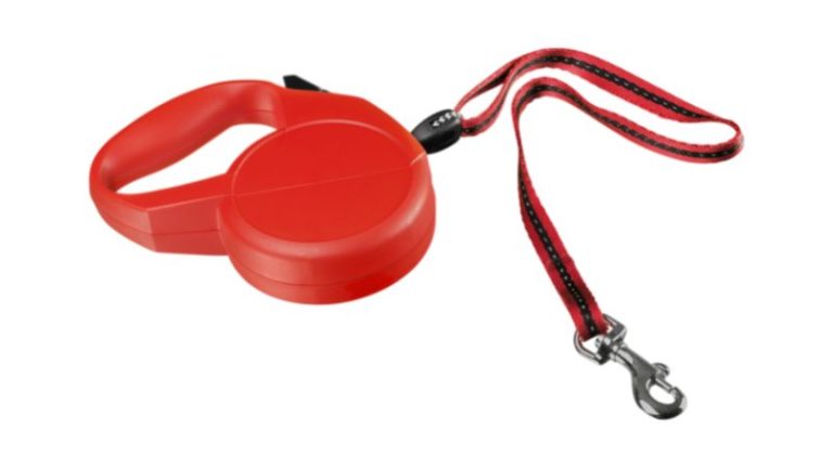 Retractable Leashes Good for Hiking