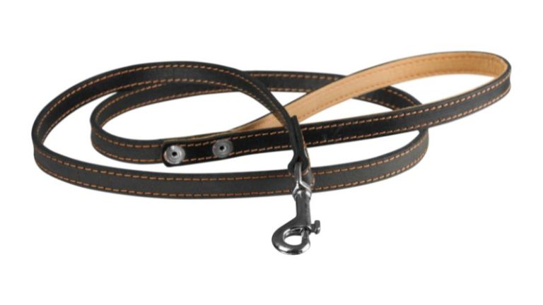 best leash for hiking with dogs