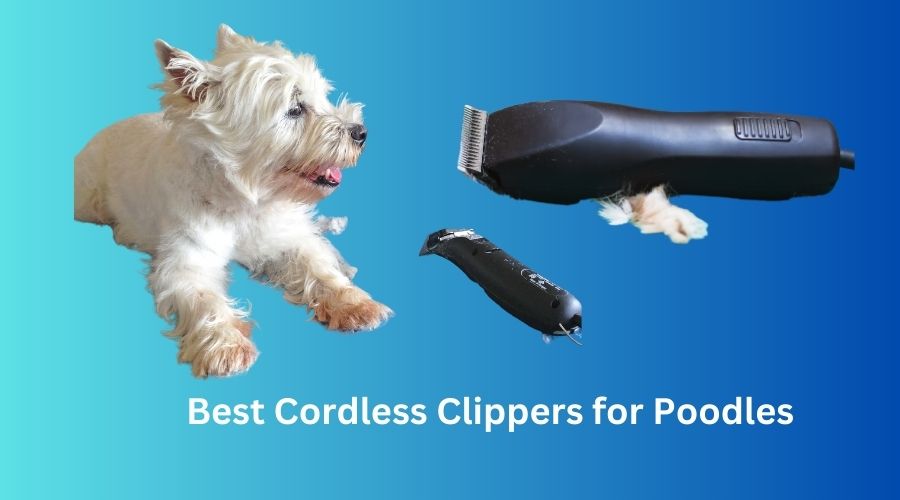 Best Cordless Clippers for Poodles