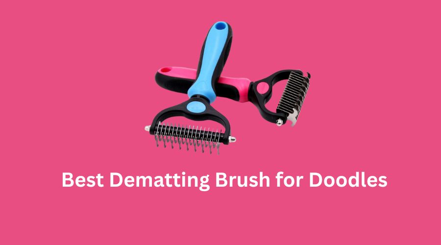 Best Dematting Brush for Doodles