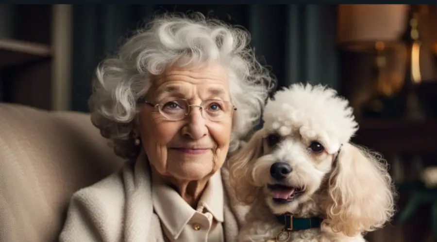 A old senior woman is sitting with Best Dog Breed