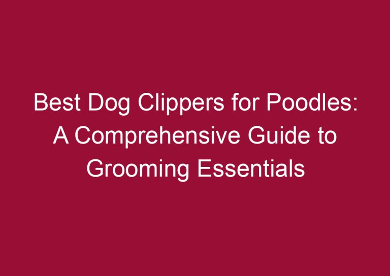 best dog clippers for poodles a comprehensive guide to grooming essentials 3330