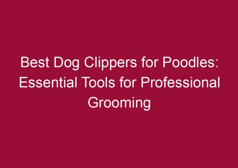 best dog clippers for poodles essential tools for professional grooming 3332