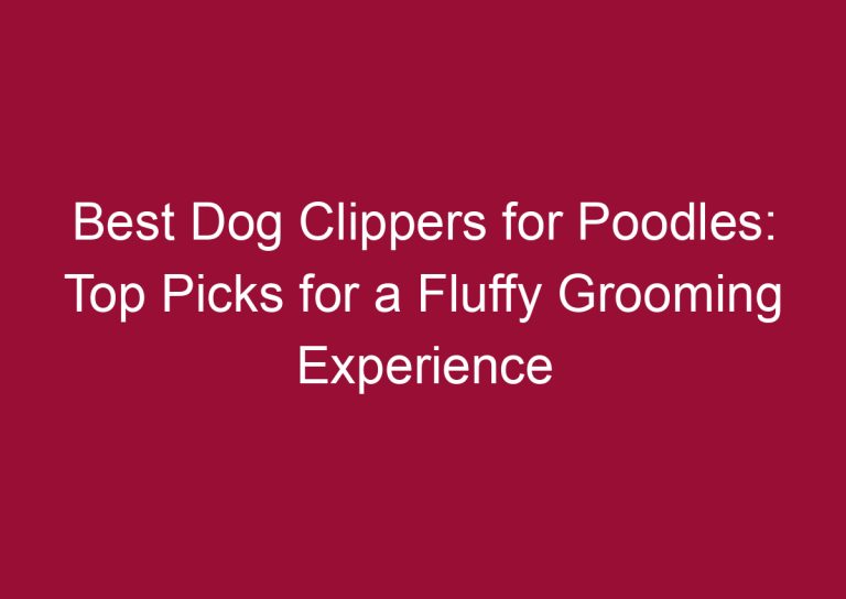 best dog clippers for poodles top picks for a fluffy grooming experience 3328