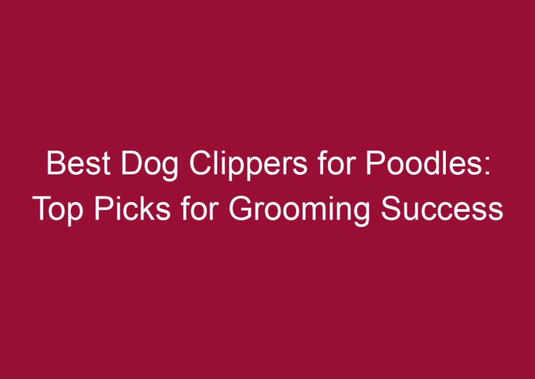 best dog clippers for poodles top picks for grooming success 3320