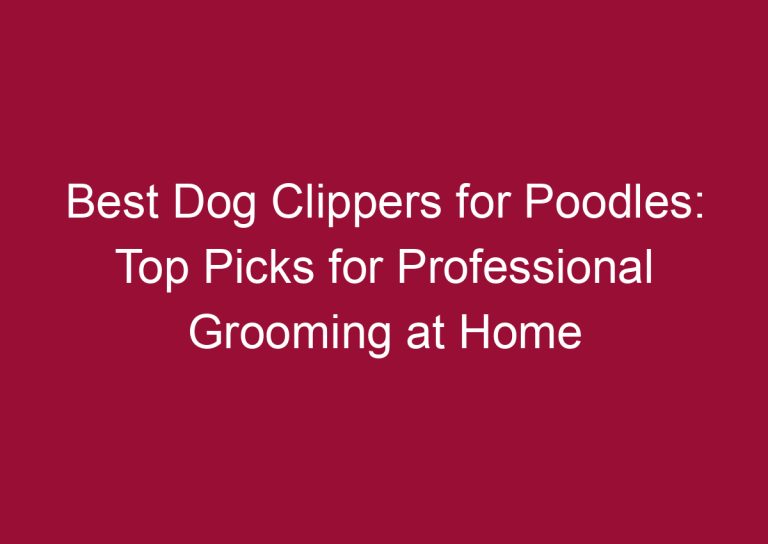 best dog clippers for poodles top picks for professional grooming at home 3289