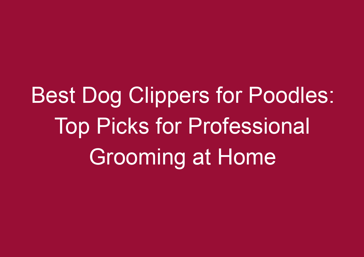 Best clippers for poodles