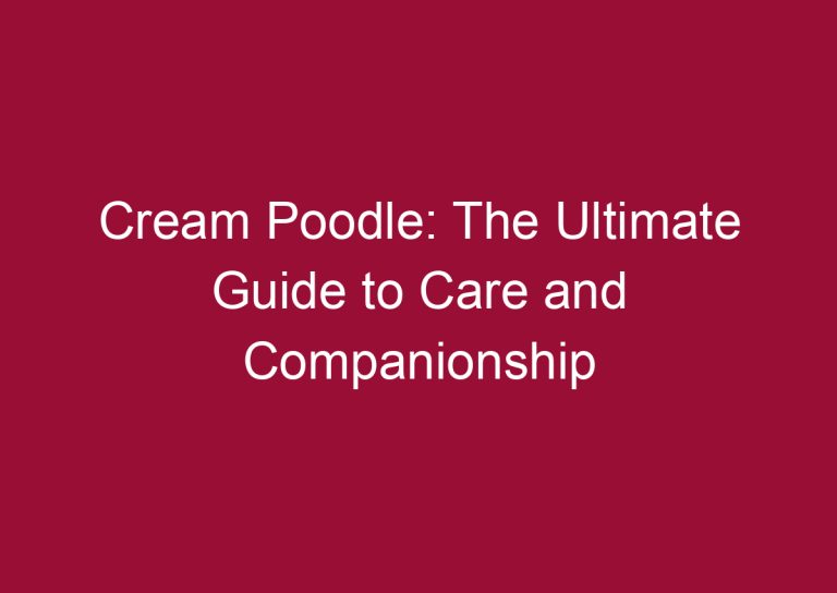 cream poodle the ultimate guide to care and companionship 3327