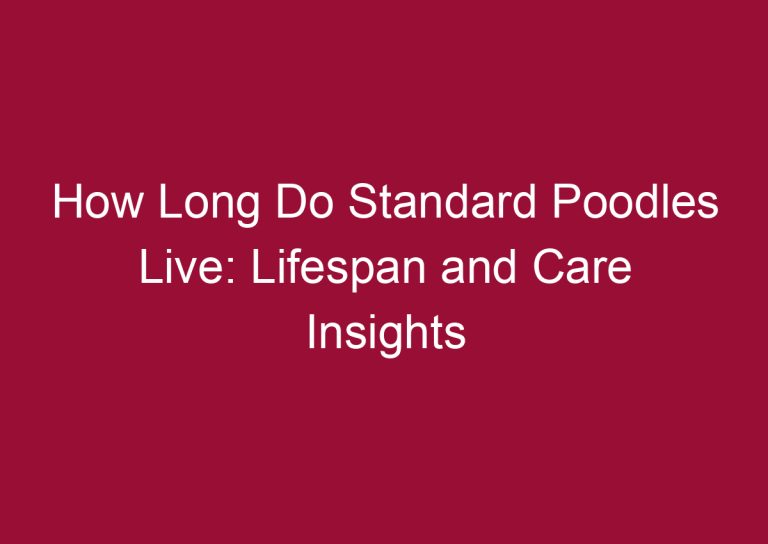 how long do standard poodles live lifespan and care insights 3343