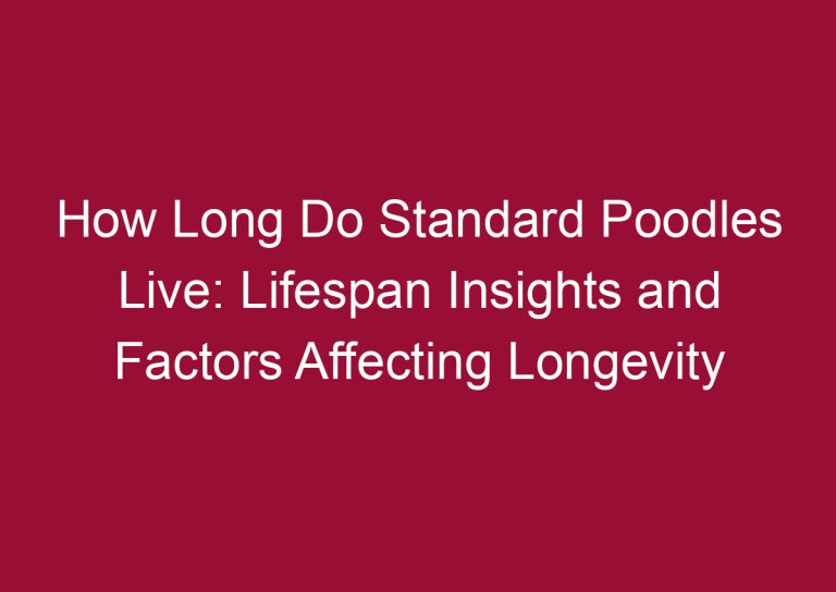 how long do standard poodles live lifespan insights and factors affecting longevity 3346