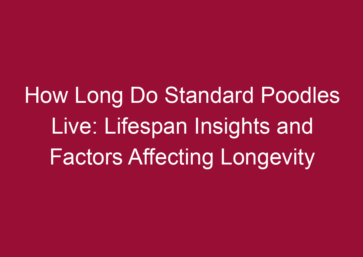 How Long Do Standard Poodles Live Lifespan Insights And Factors