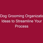 5 dog grooming organization ideas to streamline your process 3503