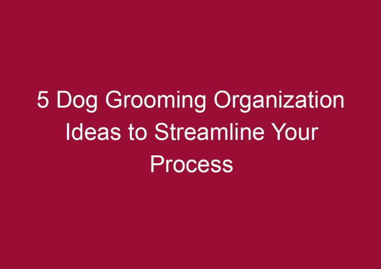 5 dog grooming organization ideas to streamline your process 3503