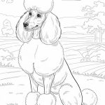 Poodle Coloring Pages