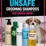 5 Unsafe Grooming Shampoos That Could Be Hurting Your Dog 2
