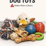 Unsafe Dog Toys Still Sold in Stores