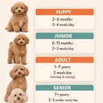 printable chart template