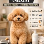 Poodle Grooming Checklist (Beginner Friendly)