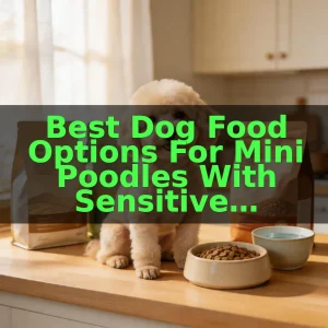 Best Dog Food Options For Mini Poodles With Sensitive Stomachs