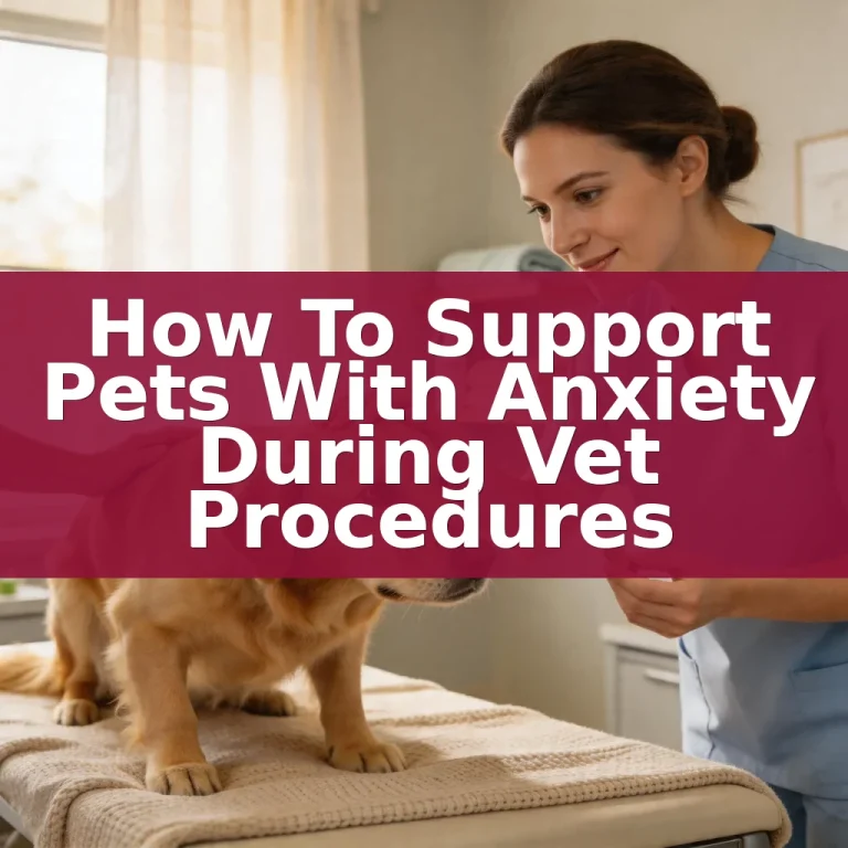 How to Support Pets with Anxiety During Vet Procedures