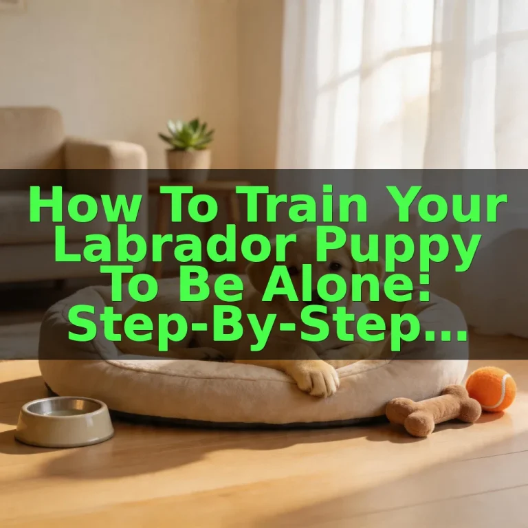 How to Train Your Labrador Puppy to Be Alone: Step-by-Step Guide