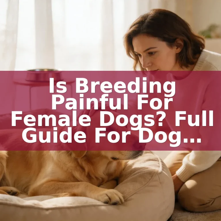 Is Breeding Painful for Female Dogs? Full Guide for Dog Owners