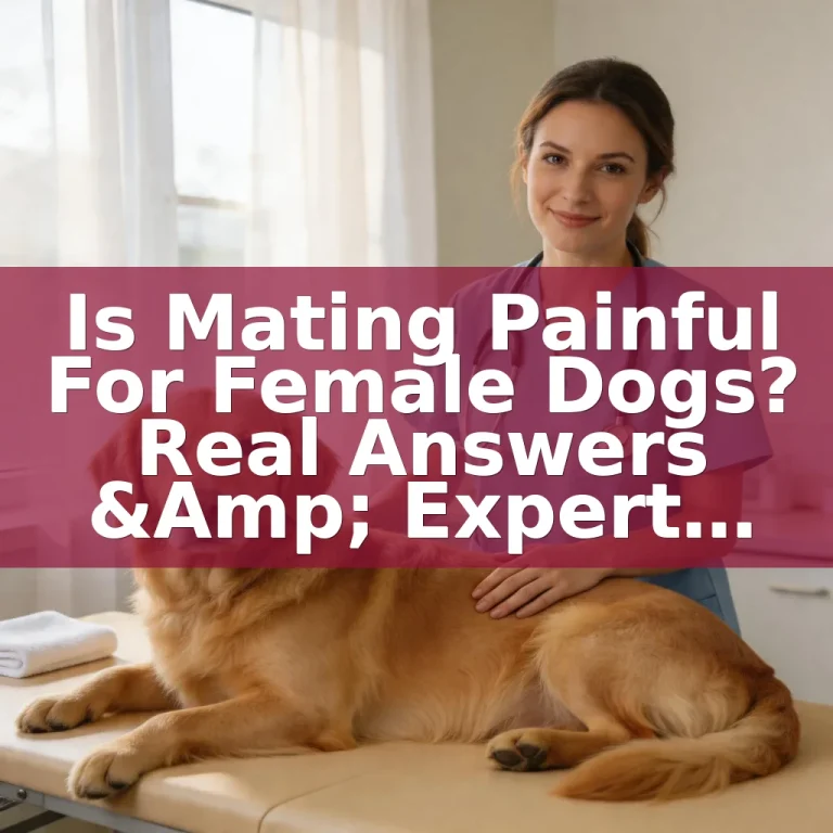 Is Mating Painful for Female Dogs? Real Answers & Expert Advice