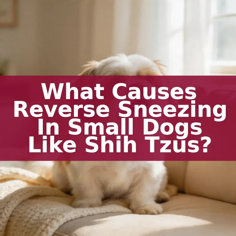 What Causes Reverse Sneezing in Small Dogs Like Shih Tzus?