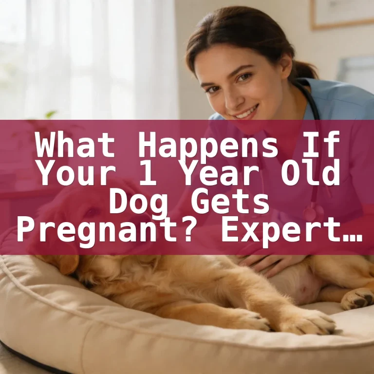 What Happens If Your 1 Year Old Dog Gets Pregnant? Expert Advice