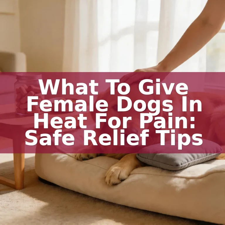 What To Give Female Dogs In Heat For Pain: Safe Relief Tips