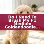 Do I Need To Brush My F1 Medium Goldendoodle Daily?