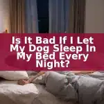 Is It Bad If I Let My Dog Sleep In My Bed Every Night?