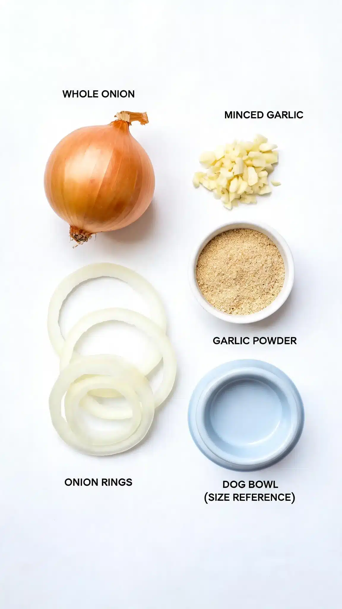 How Much Onion or Garlic Is Actually Toxic to Dogs?