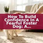 How to Build Confidence in a Fearful Foster Dog: A Week-by-Week Guide