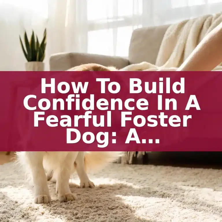 How to Build Confidence in a Fearful Foster Dog: A Week-by-Week Guide